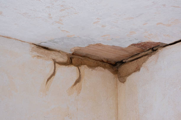 Best Water damage mitigation services  in Columbus, TX
