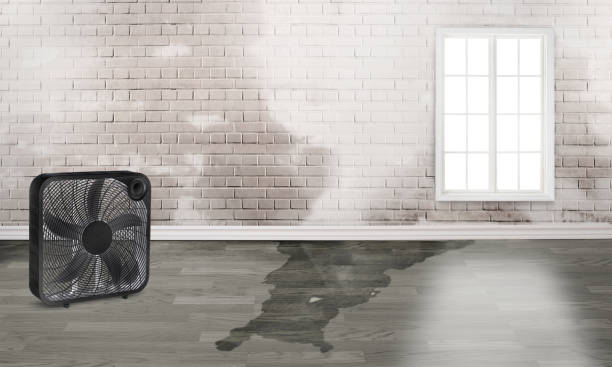 Best Emergency water damage restoration  in Columbus, TX