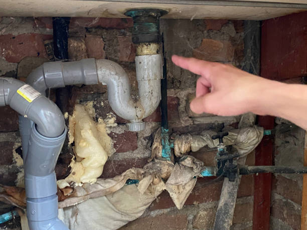 Best Water damage cleanup near me  in Columbus, TX