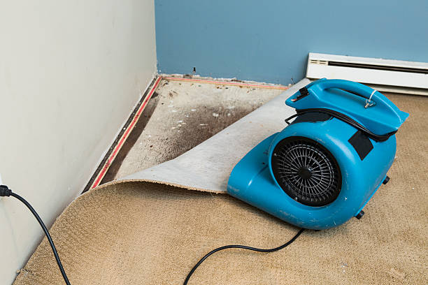 Best Water damage cleanup near me  in Columbus, TX